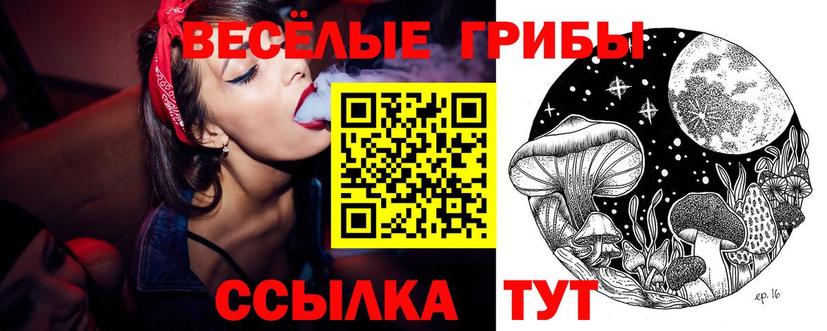 Псилоцибиновые грибы мицелий Южноуральск