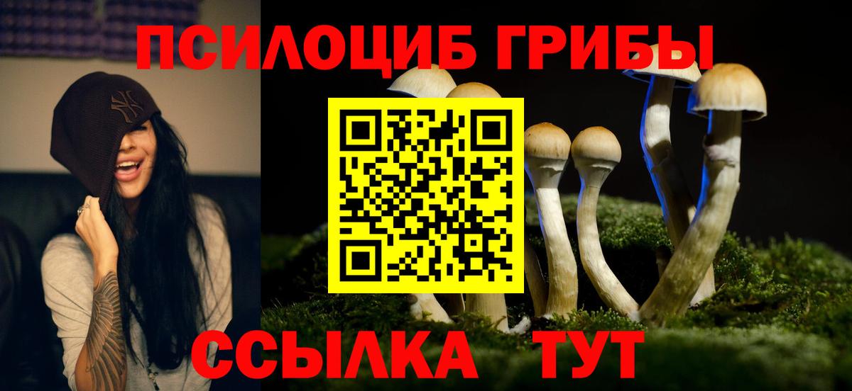 где можно купить   Галлюциногенные грибы Magic Shrooms  Вход с VPN  Южноуральск 
